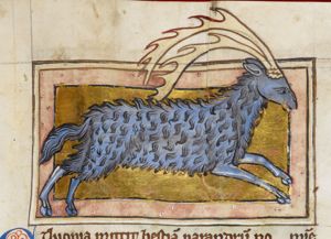 Parandrus (fabulous animal, a stag and bear)