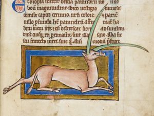 A Yale (or: Eale) with its characterizing horns (one straight, one bent)