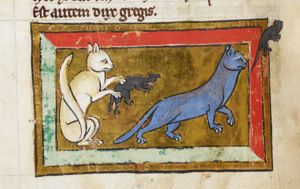 Cats and mice