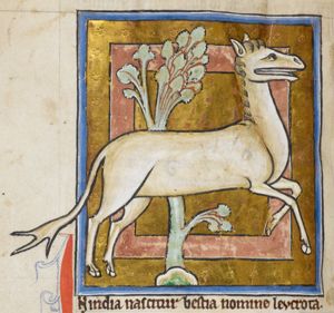 Leucrota (fabulous animal from India with an extremely wide mouth)