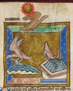 Eagles, one flying close to the sun, one diving in the water, one holding a fish