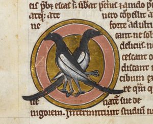 Magpies