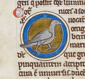 Quail