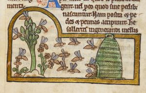 Bee-hive and a swarm of bees