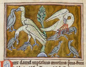 Pelicans and their young; one pelican is feeding its young with its own blood
