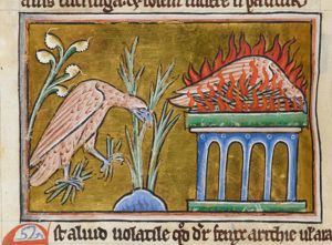 Phoenix erecting a funeral pyre for itself from small branches; Phoenix in a fire