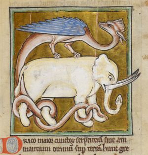 Elephant with a dragon on its back