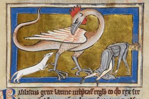 Basilisk attacked by a weasel, while a man falls dead to the ground