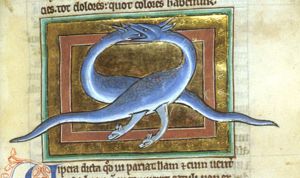 Serpents: vipera, snakes