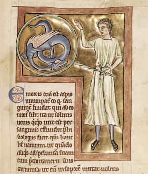 Man and dragon (a snake-charmer?)