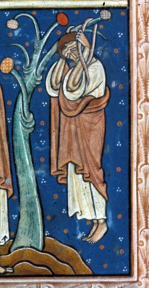 Judas hanging, from a tree, holding the rope with both hands raised.