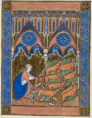 Samson and the foxes