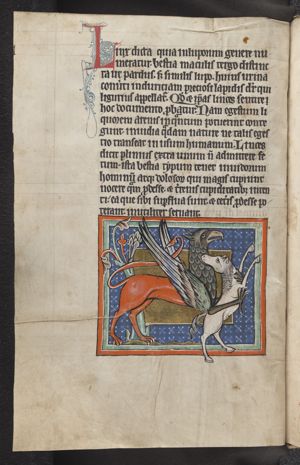 Griffin attacking a horse