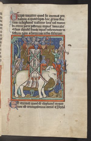 Elephas (an elephant) with howdah (houda) in the shape of a castle