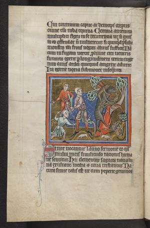 Monkey, carrying two young, being hunted