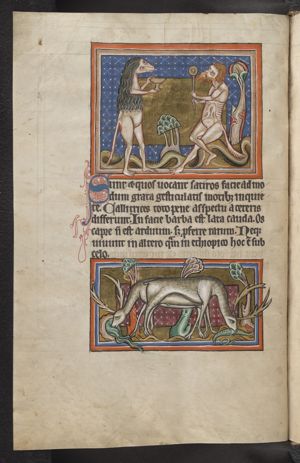 Satyrs