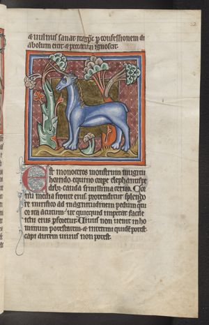 Monoceros (fabulous animal: can be a unicorn or a rinoceros)