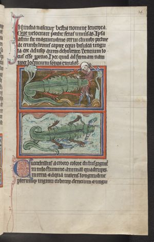 Crocodile attacking a man who holds an axe; crocodile eating fish