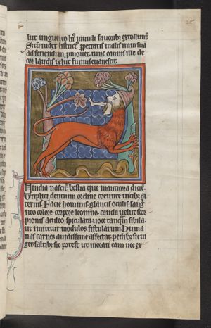 Manticora with a leg between his teeth