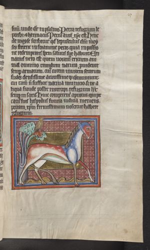 Cameleon (chameleon) and owl