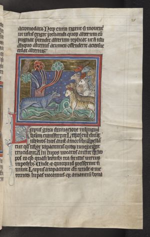 Lupus (a wolf) luring sheep with its voice