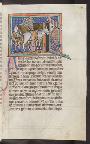 A cattle driver with a donkey at a mill