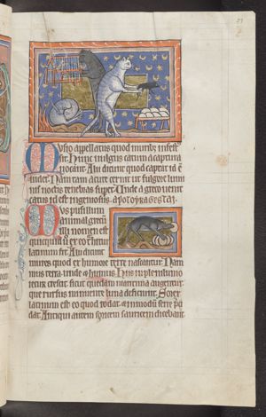 A mouse caught by a cat; another cat reaches for a bird in a cage