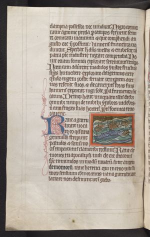 Frogs in a river; one is eaten by a fish