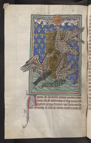 Eagles, one flying close to the sun, one diving in the water, one holding a fish