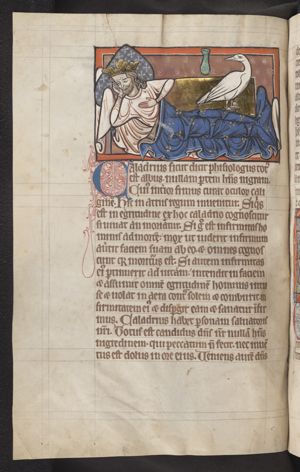Caladrius, a fabulous bird, predicts the coming death of a sick man by turning its head aside