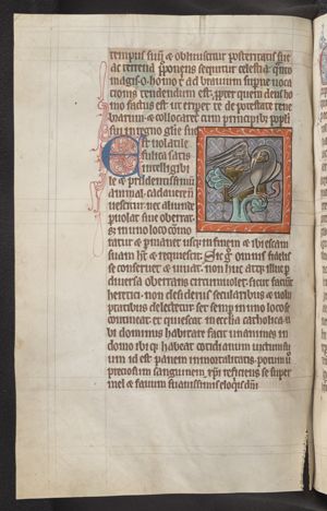 Fulica, with the annotation that it does not eat corpses (Physiologus)