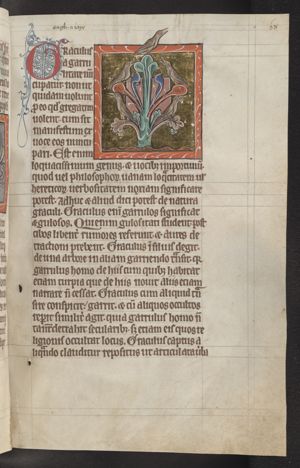 Graculus (jay)