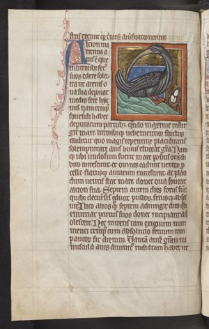 Alcion (kingfisher)