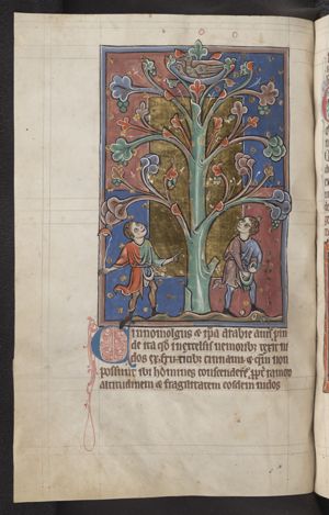 Cinomolgus (cinnamon bird, Arabian bird) on a bird's nest; a man hurling a stone at the bird with a sling
