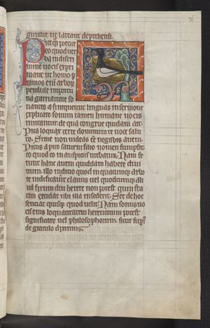 Pica (magpie)