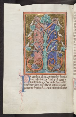 Perindens tree with doves and dragons