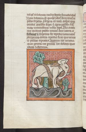Draco (dragon, python) coiled around an elephant
