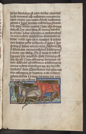 Boas (boa), a large serpent that follows cattle and drinks their milk