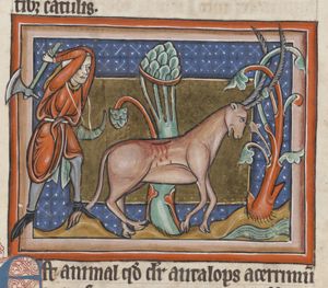 Antalops (a deer), entangled with its horns in a tree, is killed by a hunter with an axe