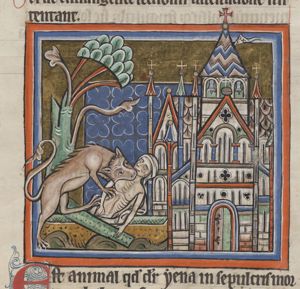 Hyena robbing a corpse from a grave