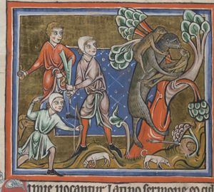 Monkey, carrying two young, being hunted