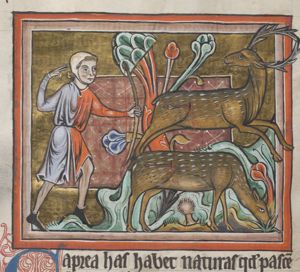 A hunter shooting at a caprea (a wild she-goat)