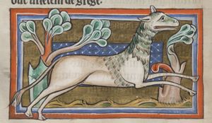 Leucrota (fabulous animal from India with an extremely wide mouth)