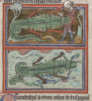 Crocodile attacking a man who holds an axe; crocodile eating fish