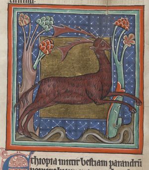 Parandrus (fabulous animal, a stag and bear)