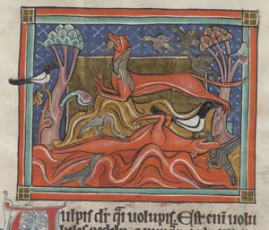 Vulpis (a fox) catching a bird by pretending being dead; another fox also hunting birds