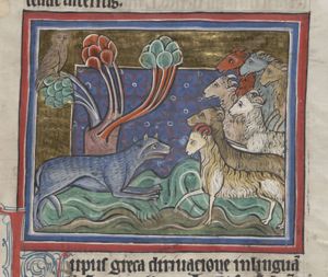 Lupus (a wolf) luring sheep with its voice