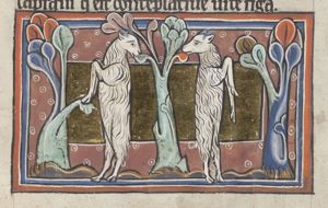 Goats eating leaves from a shrub