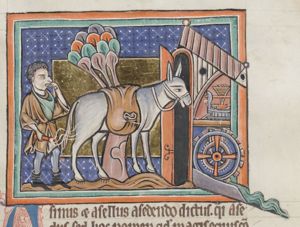 A cattle driver with a donkey at a mill