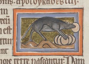 A mouse eating